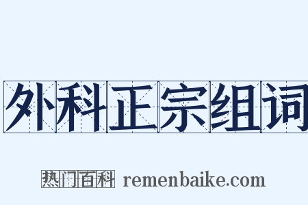 外科正宗组词是什么意思的图片